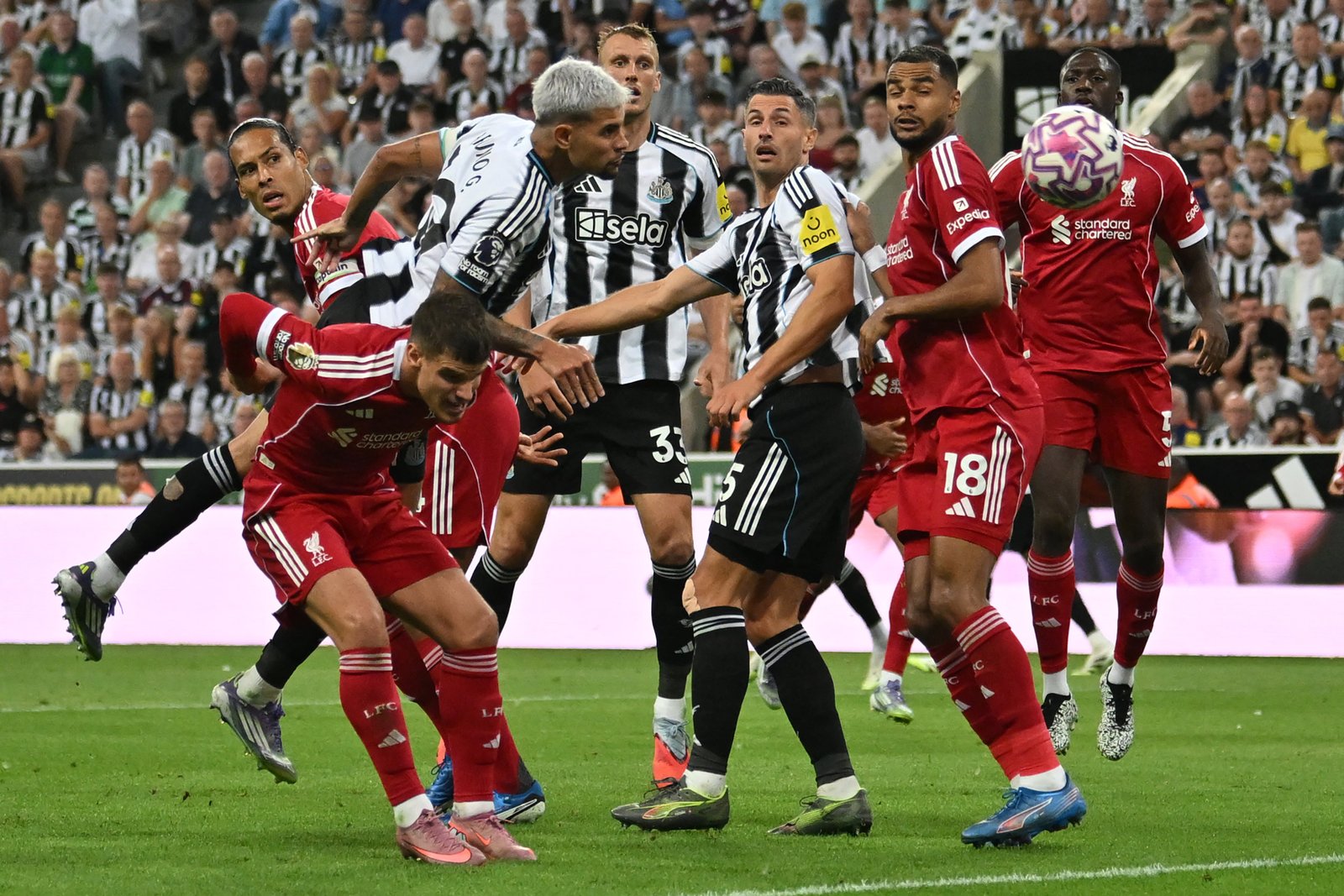 Bruno Guimaraes heads Newcastle back into the contest