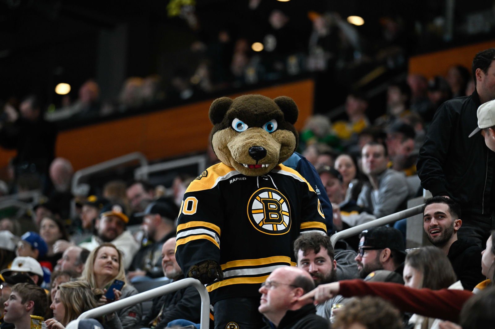 The Night A Blueshirt Fan Got Clobbered By A Bruin With The Fan's Own Shoe