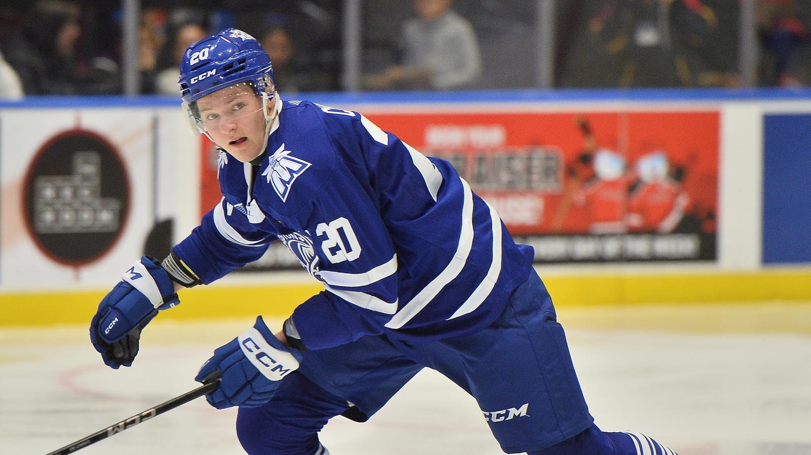 Vancouver Canucks Sign Two Star OHL Players 