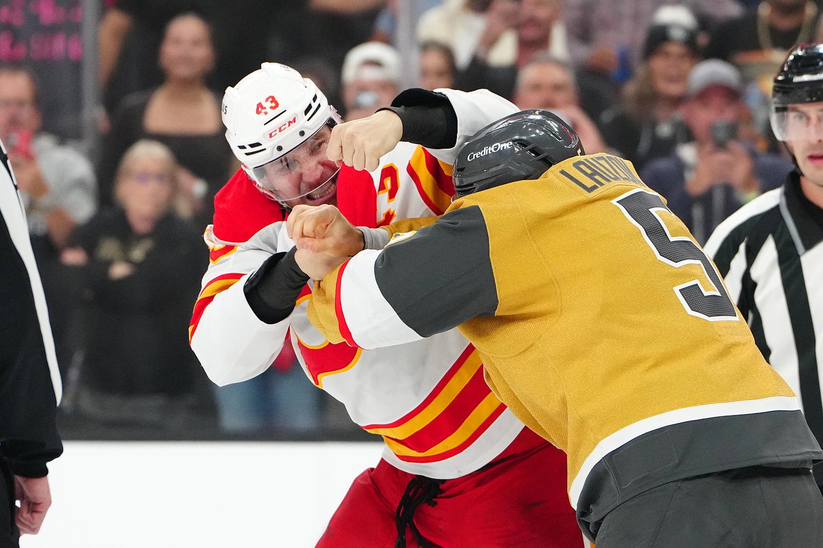 © Stephen R. Sylvanie | 2025 Oct 18