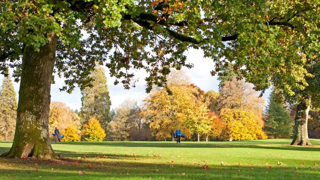 ‘Casual golf’ is my favorite kind of golf. Here’s how to play it