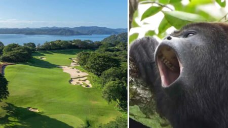 In Costa Rica, golfers encounter the wildest sights (and sounds!)