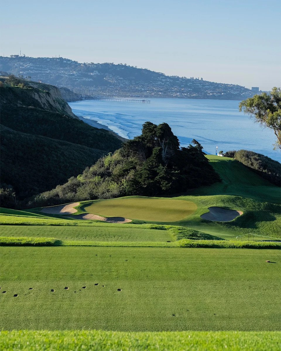 Love Letter To: Torrey Pines