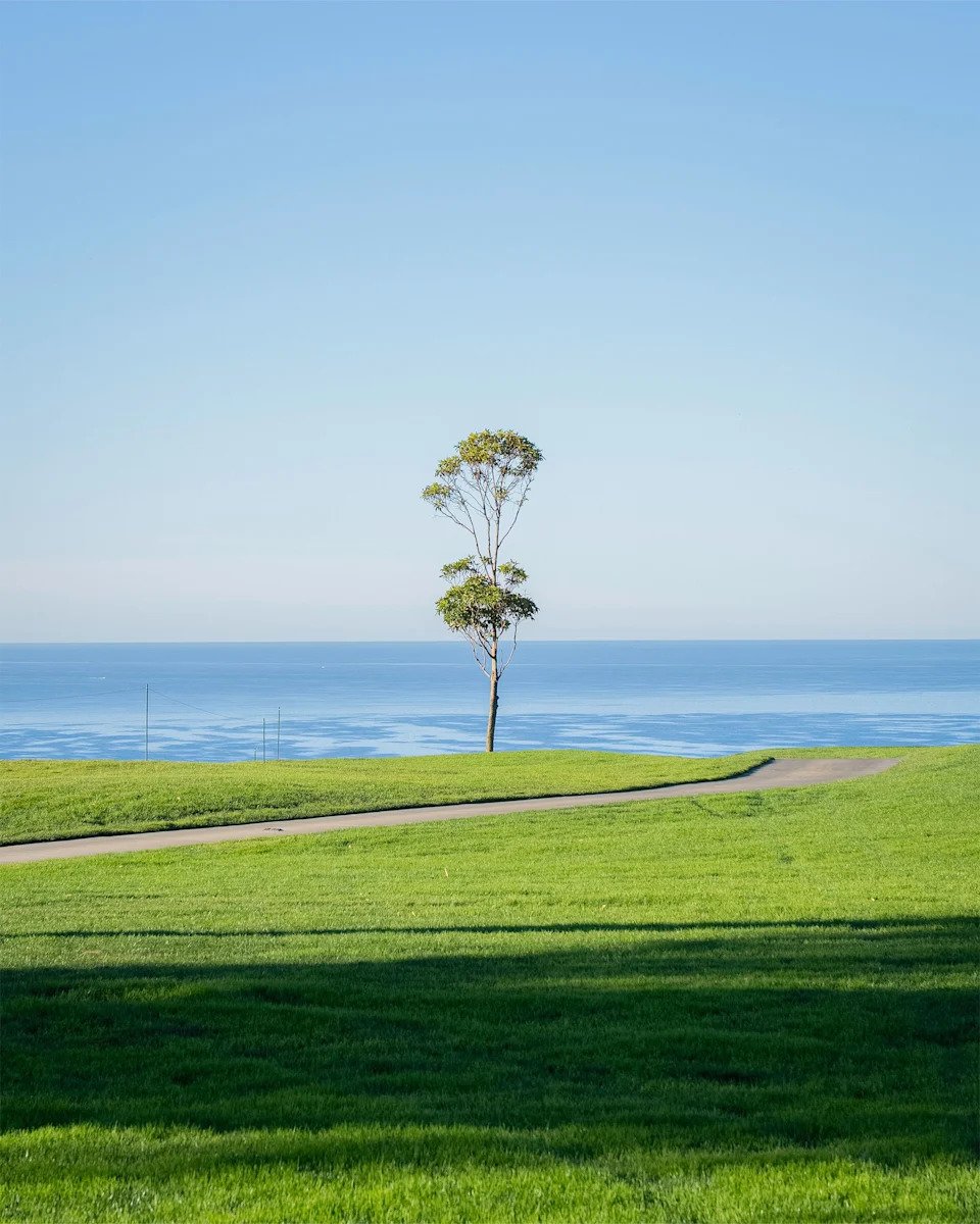 Love Letter To: Torrey Pines - Image 5