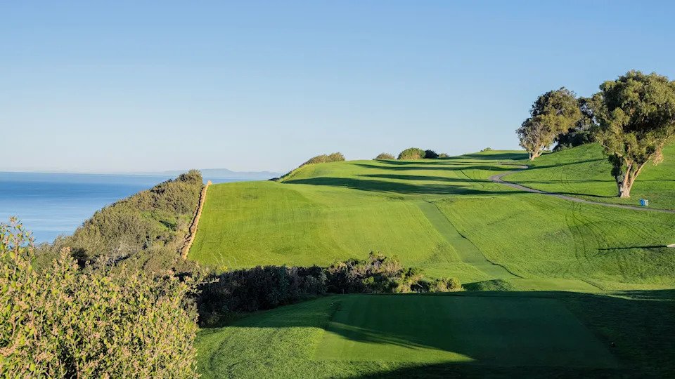 Love Letter To: Torrey Pines - Image 1