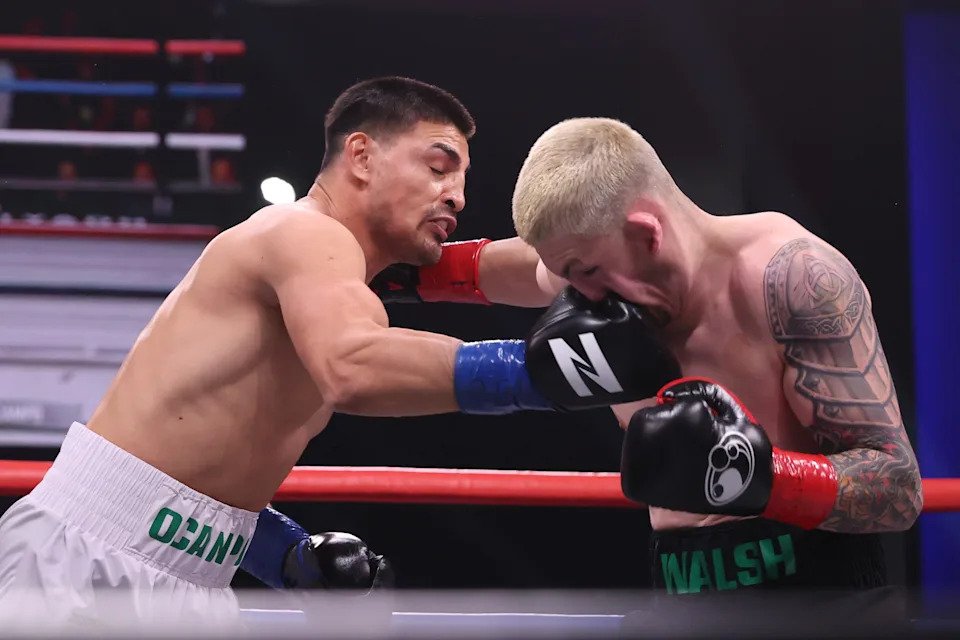 (Joshua Hedges, Zuffa Boxing)