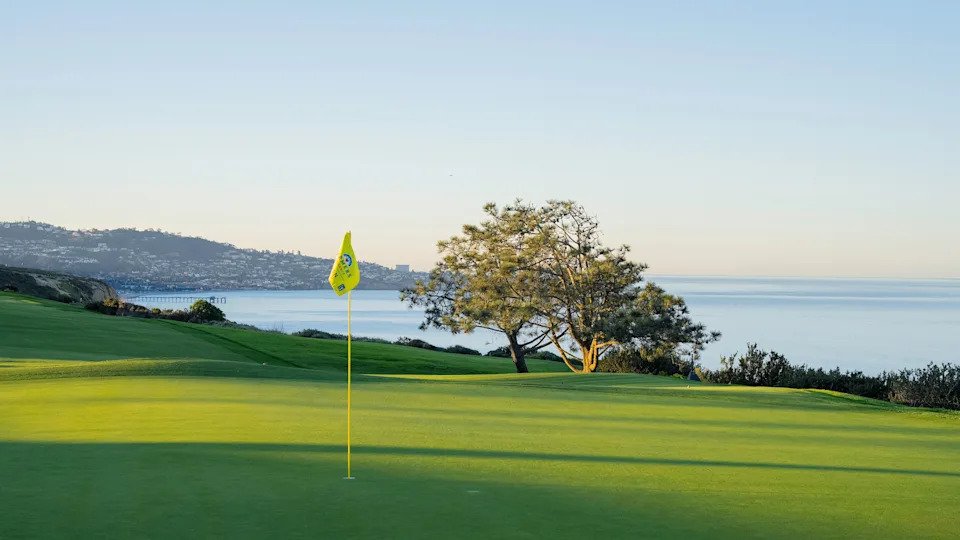 Love Letter To: Torrey Pines - Image 2