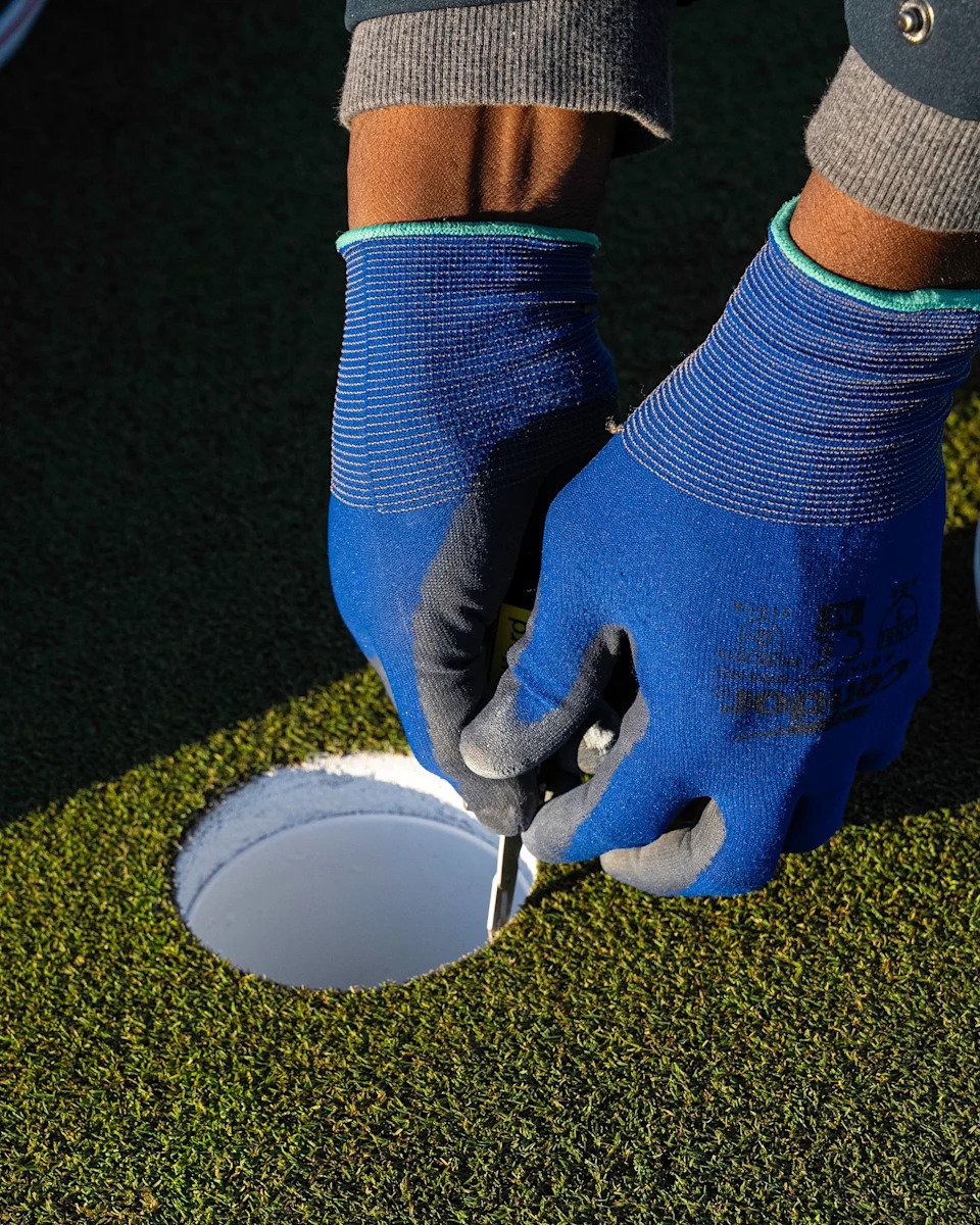 Love Letter To: Torrey Pines - Image 4