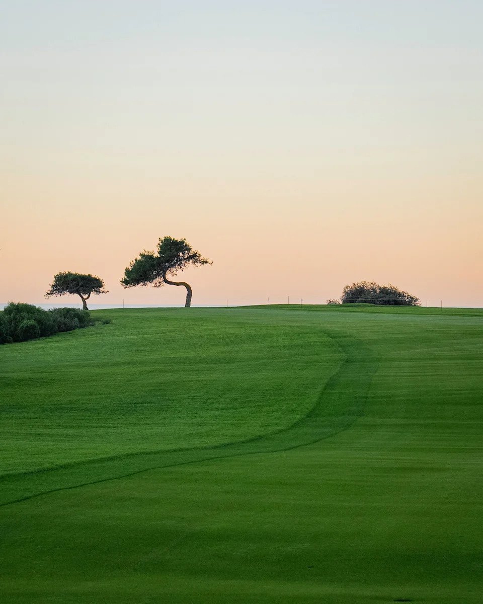 Love Letter To: Torrey Pines - Image 2