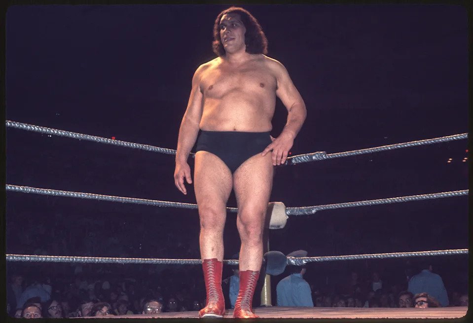 UNSPECIFIED, UNSPECIFIED - CIRCA 1980's: Andre the Giant in ring during a wrestling event in the 1980's. (Photo by WWE/WWE via Getty Images)