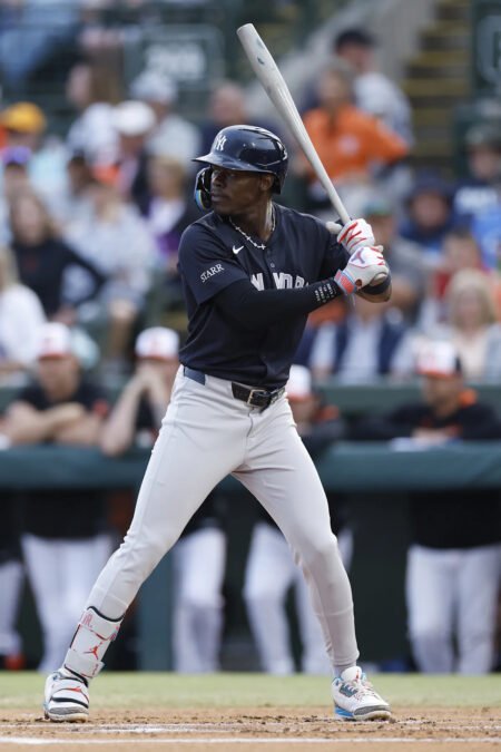 Who will hit the Yankees’ first spring training homer?