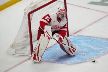 Gibson and Raymond power Red Wings to a 2-0 victory over the Avalanche