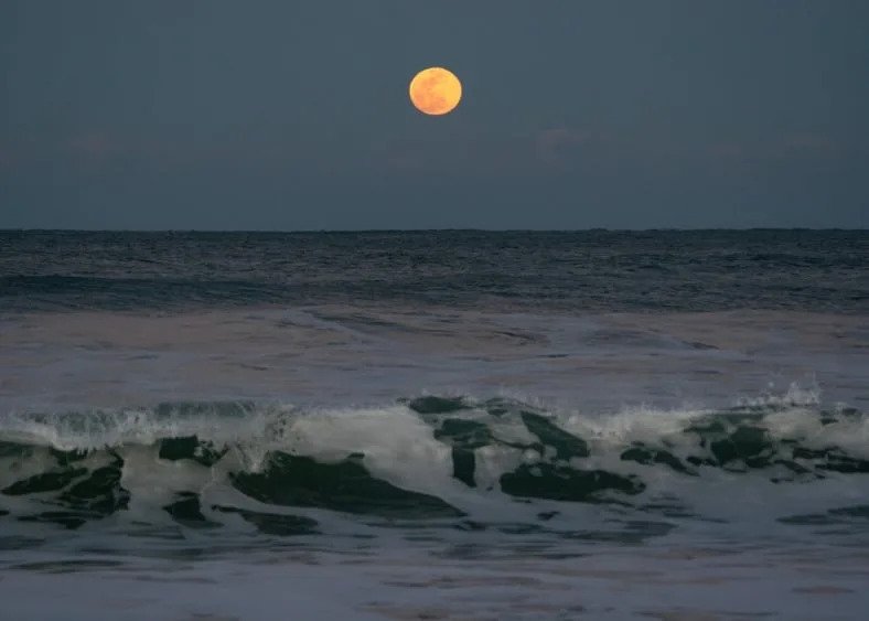 Kyle Busch Winless Streak