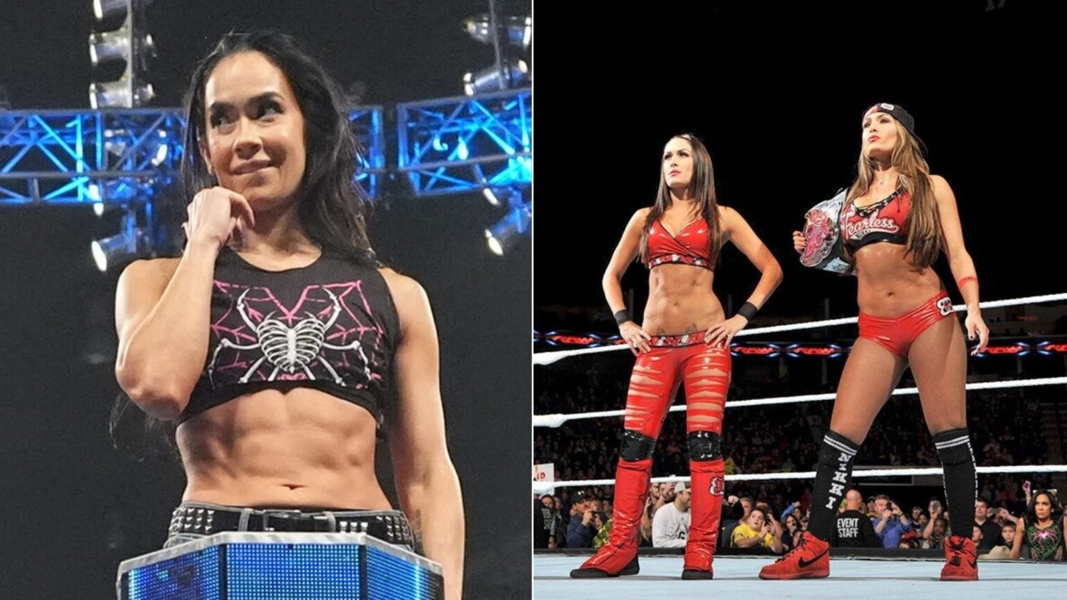Former WWE star recalls segment involving AJ Lee and the Bella Twins on SmackDown