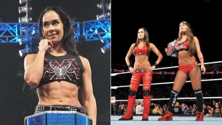 Former WWE star recalls segment involving AJ Lee and the Bella Twins on SmackDown