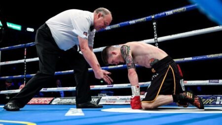 Privilege, criticism & VAR – life as a boxing referee