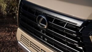 20% Paying $1,000 A Month