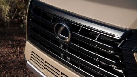 20% Paying $1,000 A Month