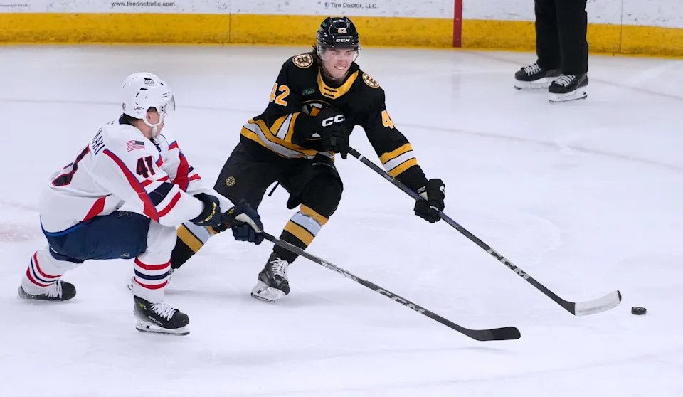 St. Louis Blues Weekly Prospect Report (April 19)