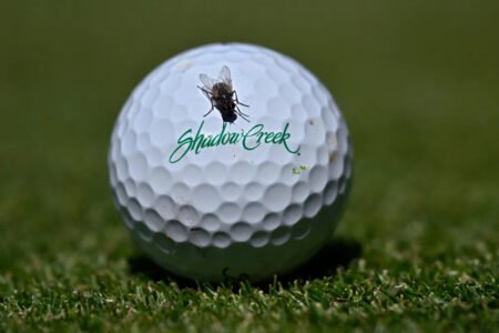 Aramco Championship prize money payouts for the LPGA players in Vegas