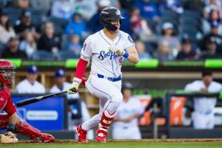 D’Backs Prospects, Part 3: Sizzling Snakes From the Stable