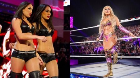 Nikki Bella, Brie Bella, Tiffany Stratton & others react to female WWE star’s emotional update