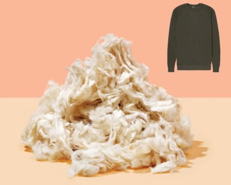 What’s your shirt made of? It’s time you actually found out