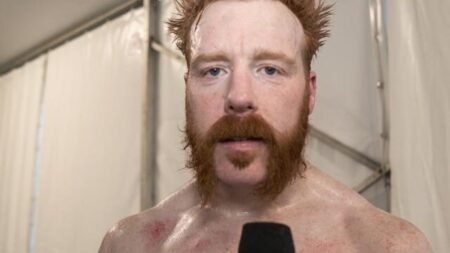 Sheamus shares 5-word message amid uncertain WWE future