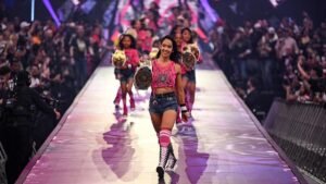 AJ Lee Done With WWE For A While – Reports