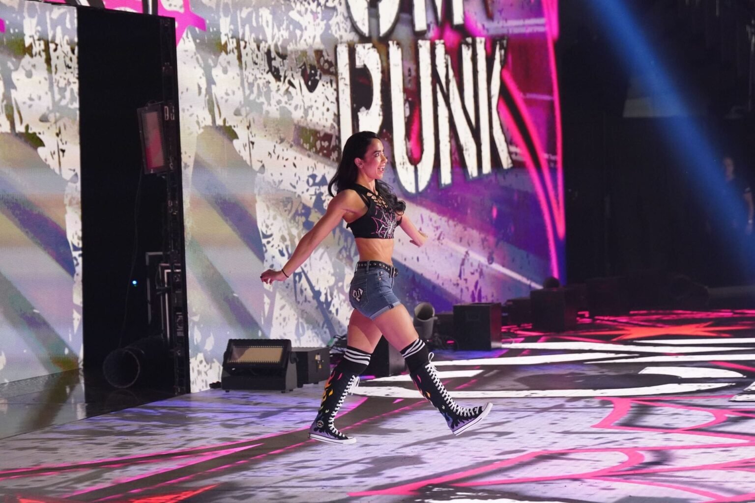 Aj Lee Reveals Plans For Last WWE Match
