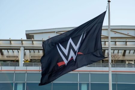 Released star reveals unique idea WWE passed on