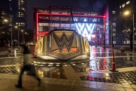 “It was exactly what I needed” – Female WWE star comments on being fired