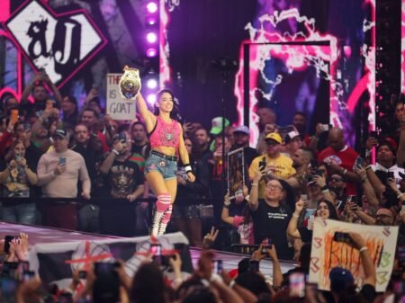 AJ Lee Teases In-Ring Return After Recent Star’s Betrayal