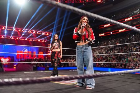 Nikki Bella to replace Brie Bella following SummerSlam? Ex-WWE star reacts!