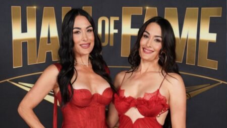 “Well no need to get your panties in a bunch” – Nikki Bella shuts down WWE speculation about Brie Bella