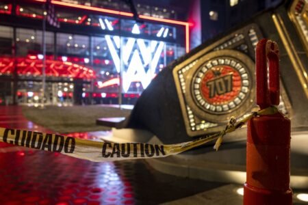 Janel Grant makes surprising confession following the Vince McMahon scandal